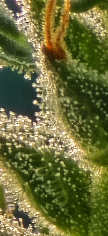 20250611_190643.jpg
