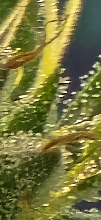 20250611_190858.jpg