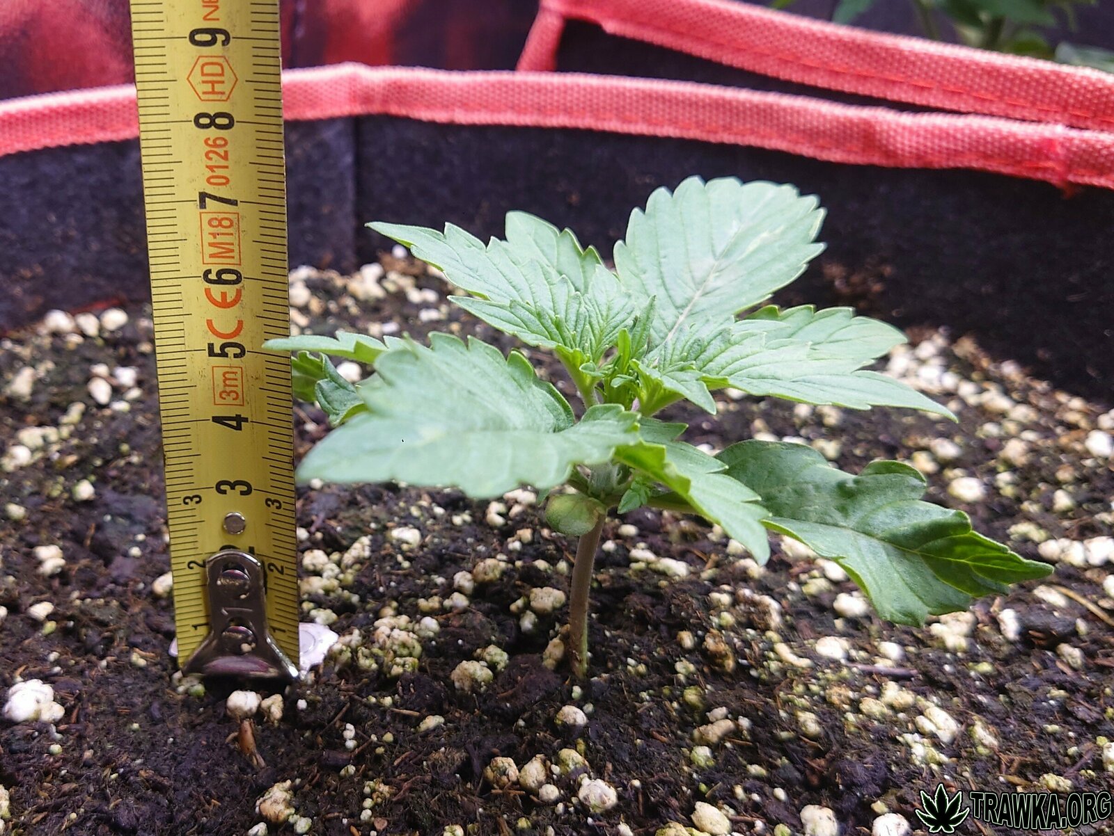 large.4.3.JPG.0c13ae0497726aa202d45fdb68
