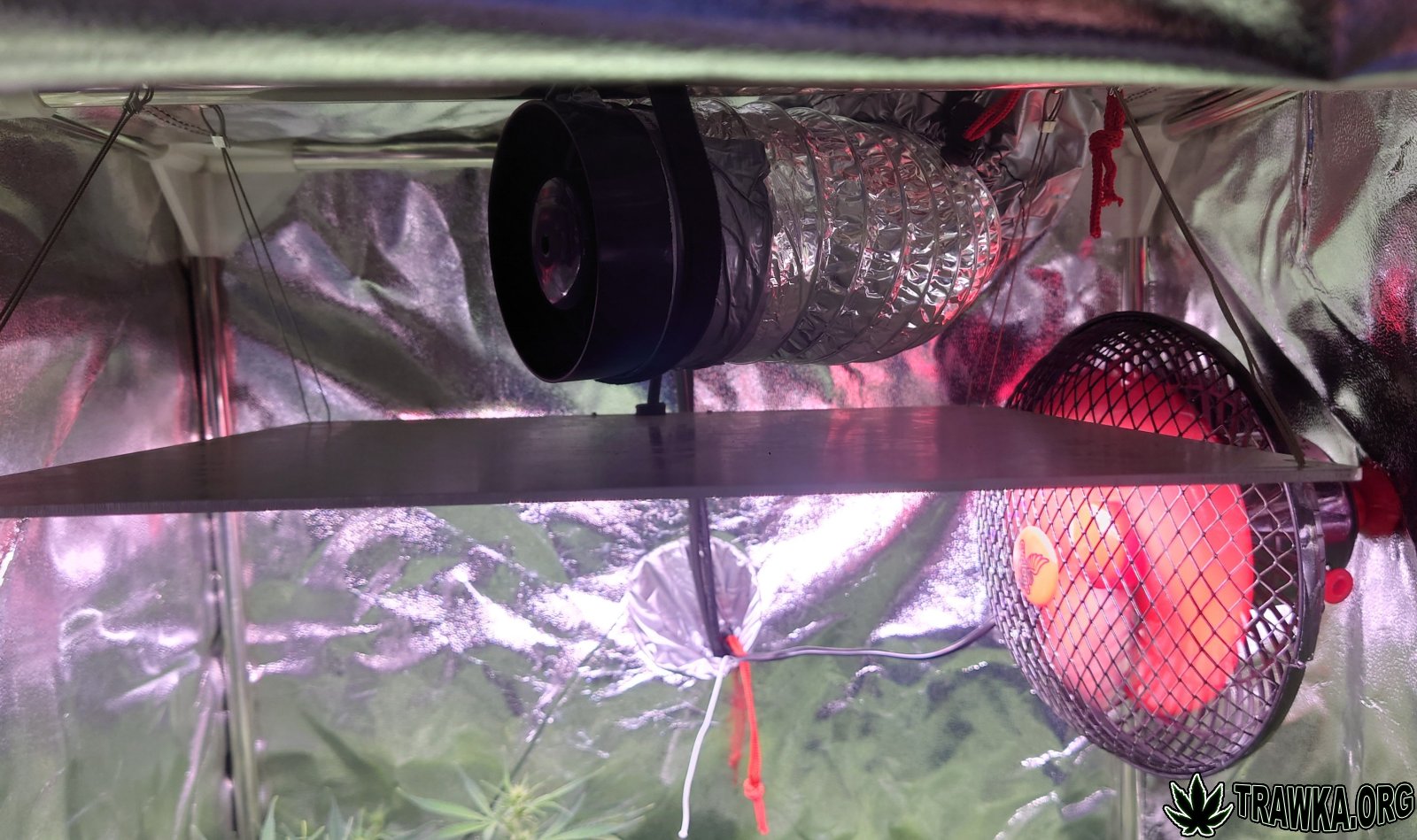 large.techniczne_lamp_went_1.JPG.64132da