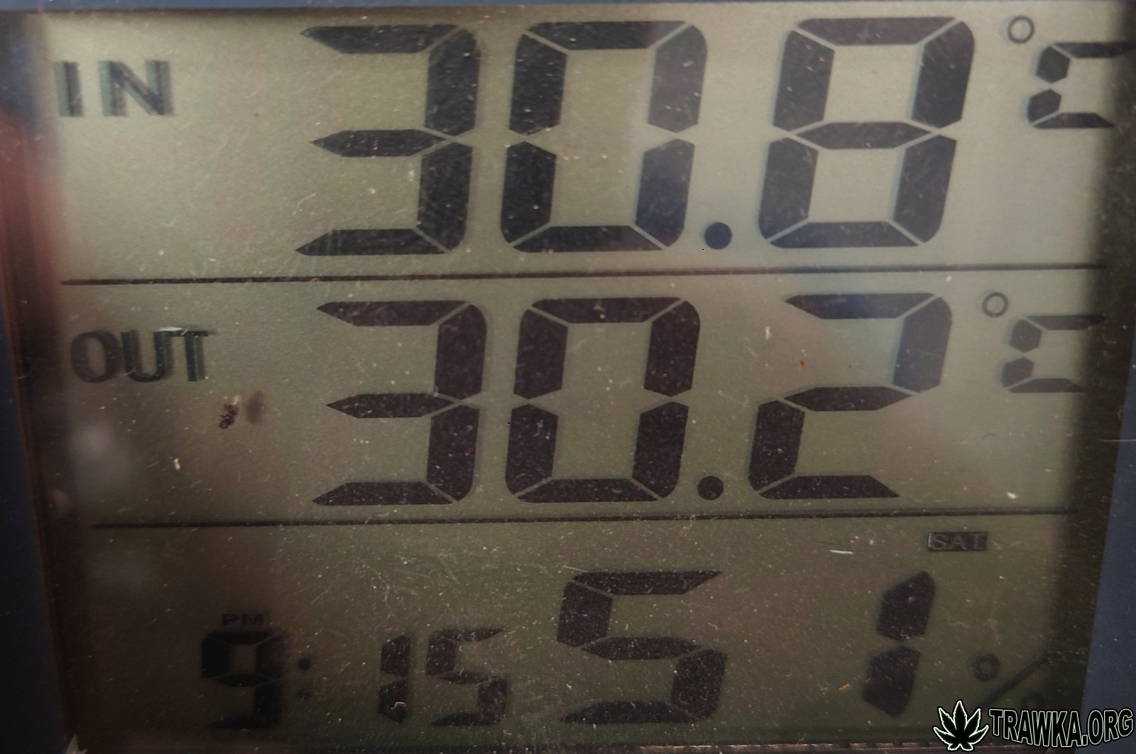 large.techniczne_temp.JPG.2b4cd0079f0cbc
