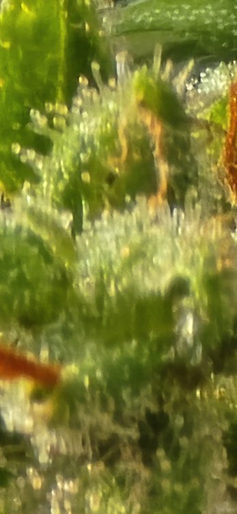 20250701_181432.jpg