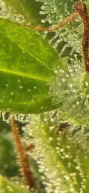 20250701_181444.jpg