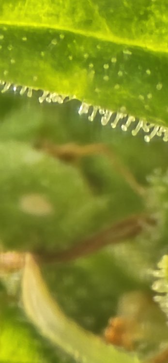 20250701_181453.jpg