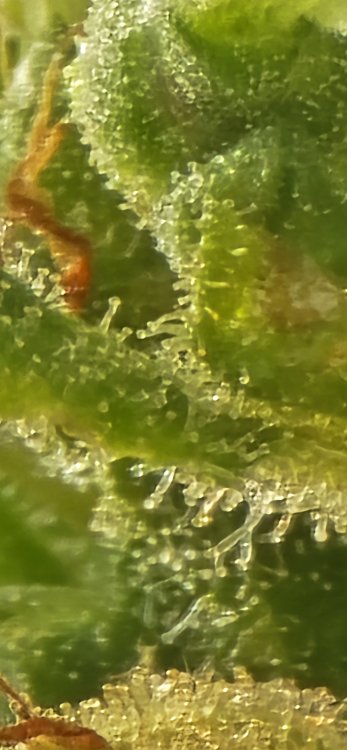 20250701_181507.jpg