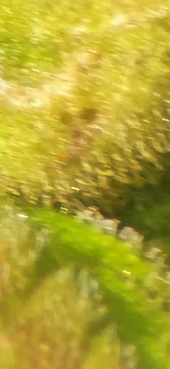 20250718_184025.jpg