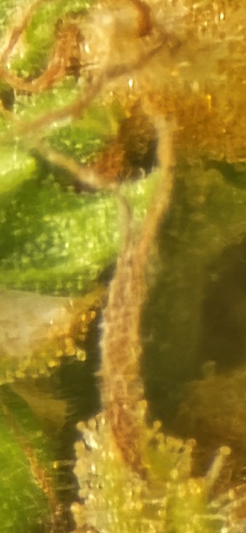 20250718_184027.jpg