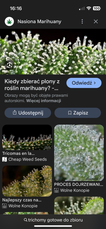 IMG_3395.png