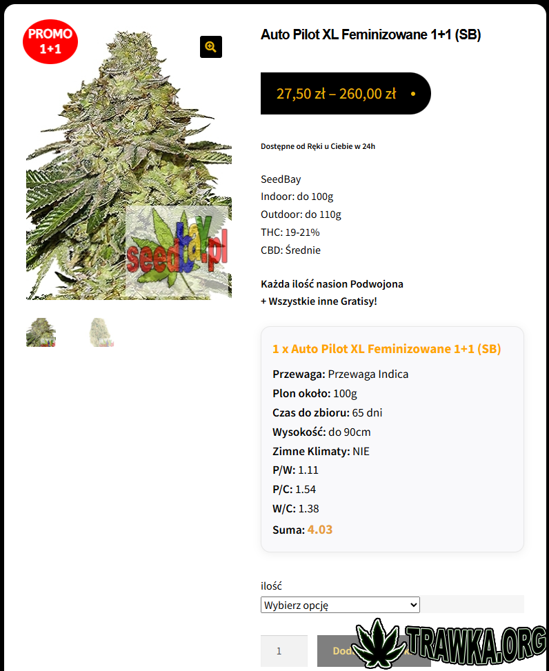 large_xx2.png.5dd6fe196b93725424c0b9dca1