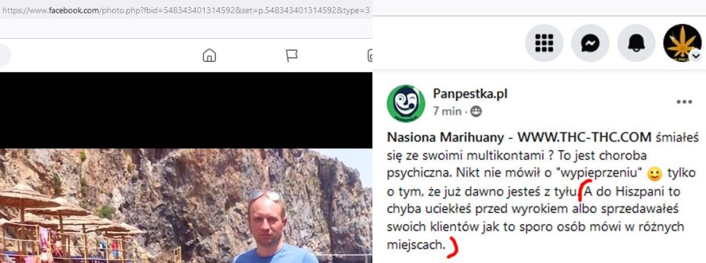 sklep-panpestka-hejtuje.thumb.jpg.63910e37c58aad029c44d04944ca7bcf.jpg