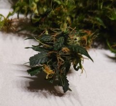 #popcorn_macro_1