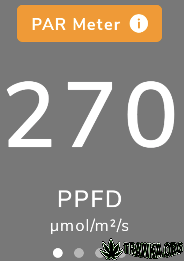 large.PPFD1.png.3ee71af27efe7a926108148b