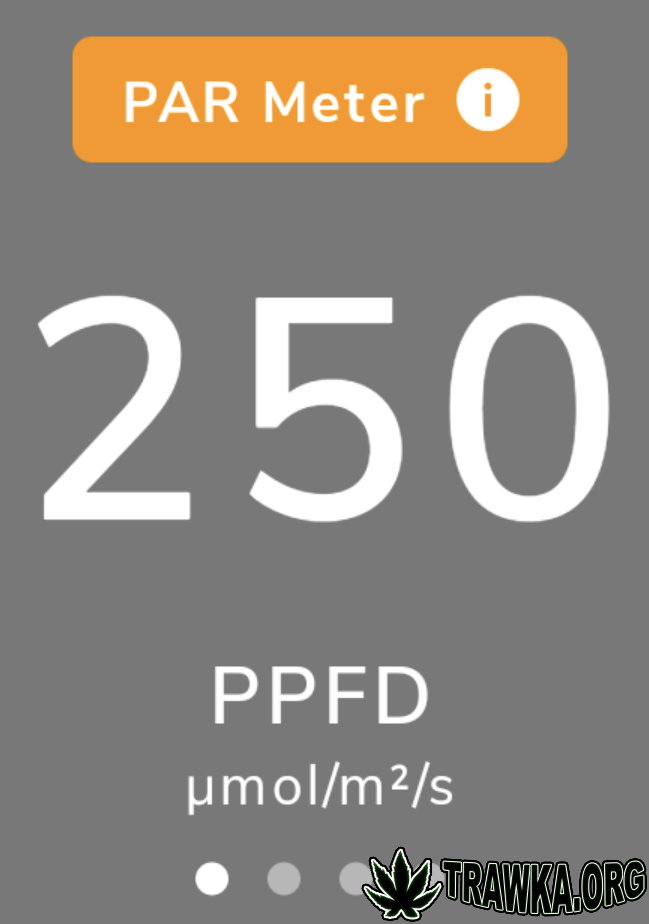 large.PPFD2.png.26fac2fe677ce5090bade3c7