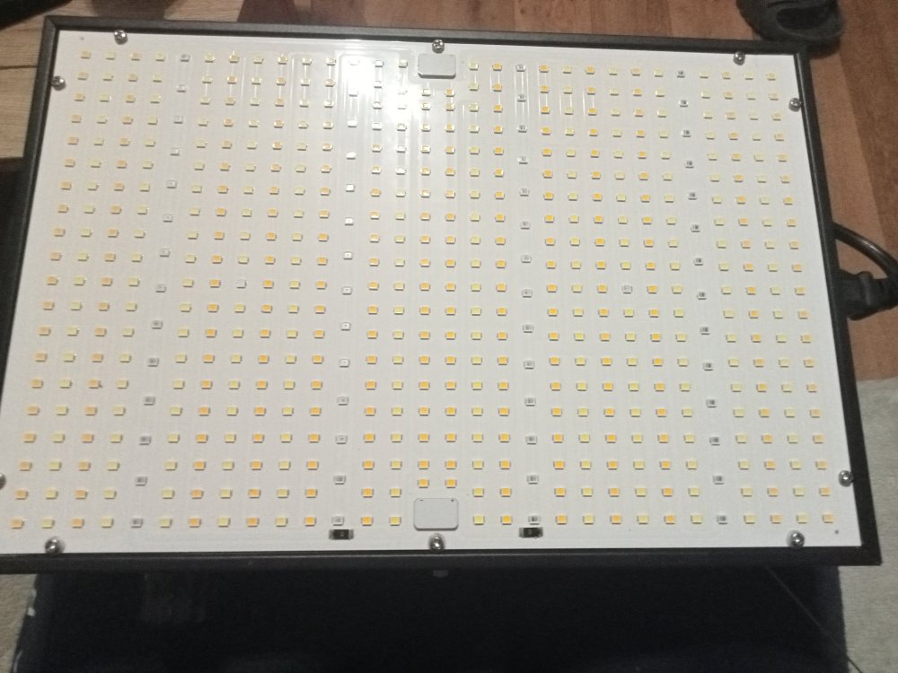 17613341029448533093044546607995.jpg