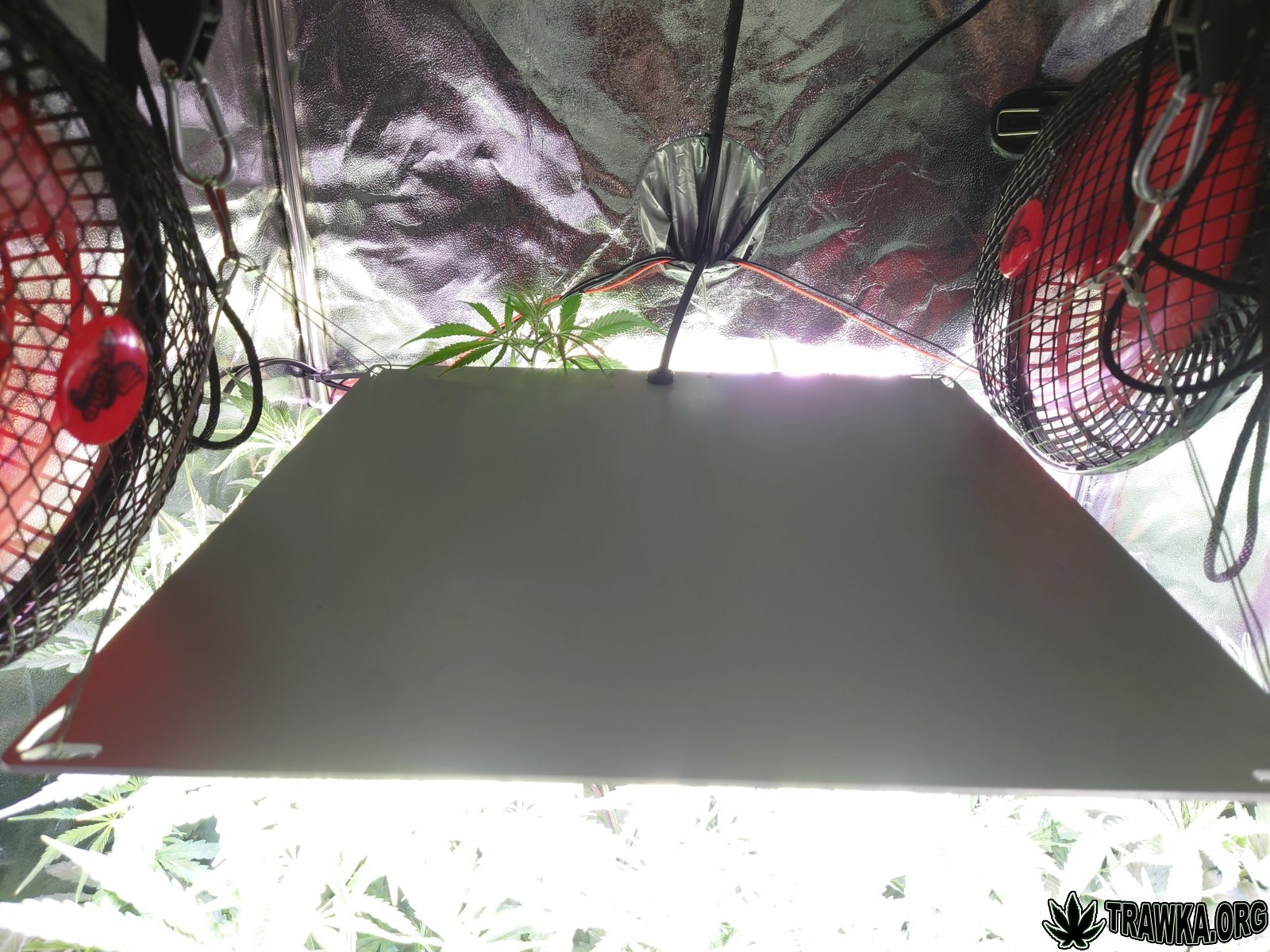 large.before_lampa.JPG.64c7727db82a25378