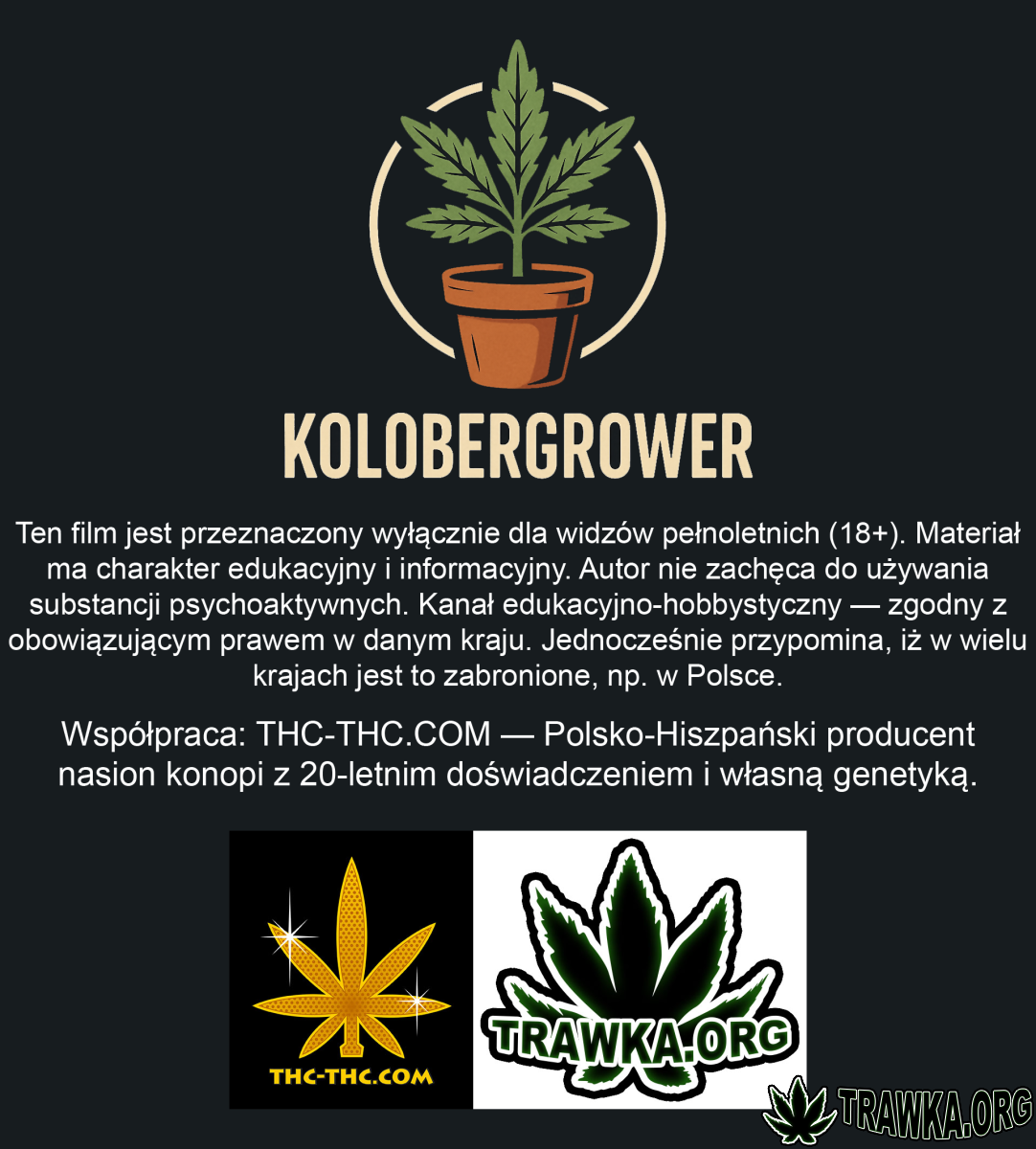 Uprawy kolobergrower 😅
