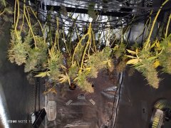 IMG_20251024_211544.jpg