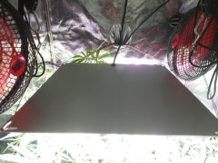 #before_lampa.JPG