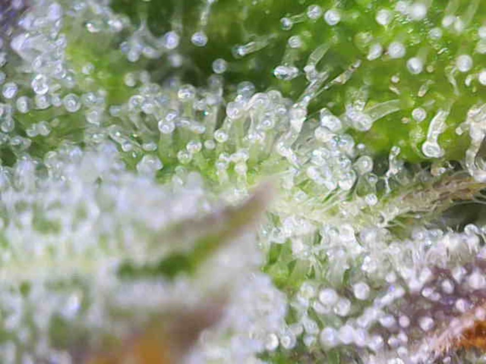 Photo_2025-11-22 10_00_59_571.JPG