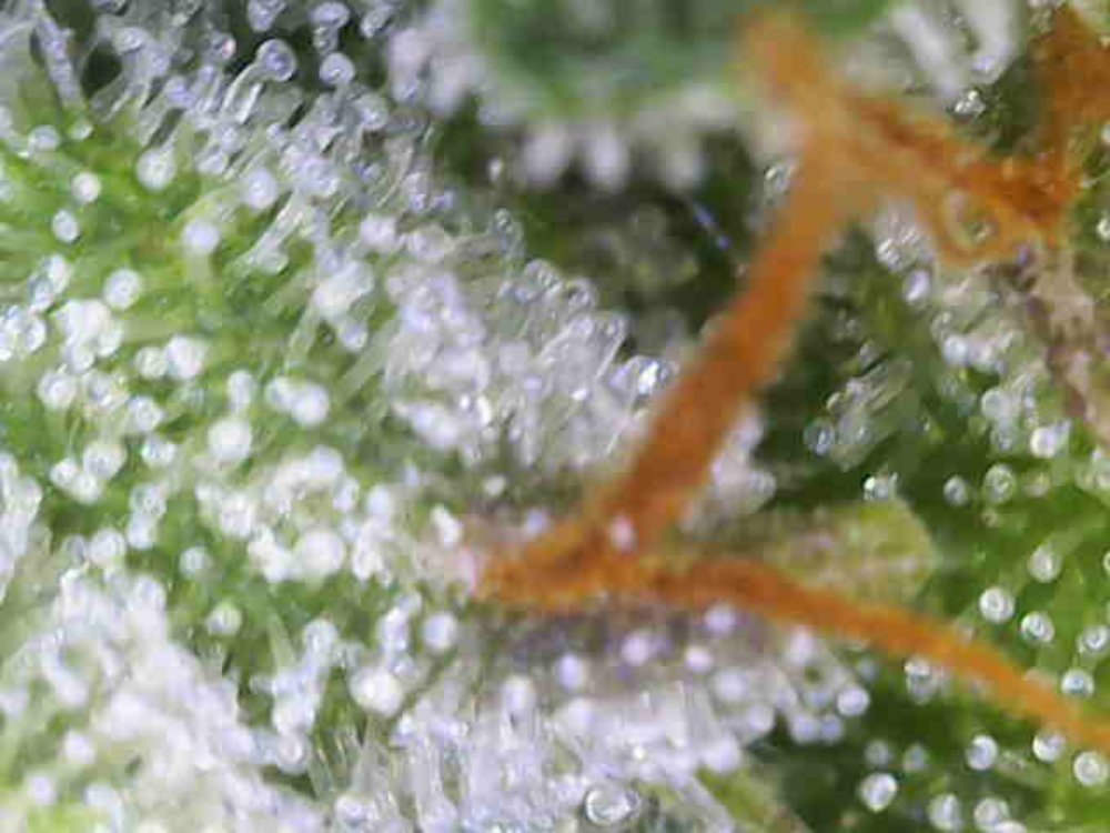 Photo_2025-11-22 10_01_04_113.JPG