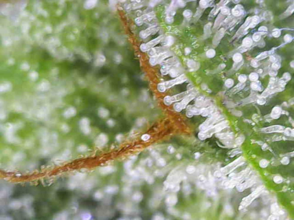 Photo_2025-11-22 10_01_35_413.JPG