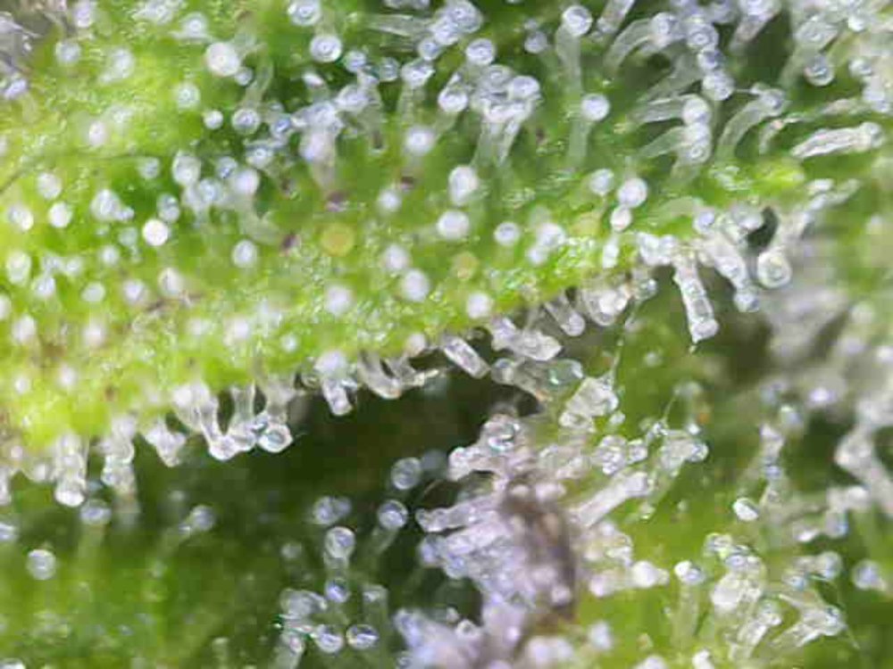 Photo_2025-11-22 10_51_41_185.JPG