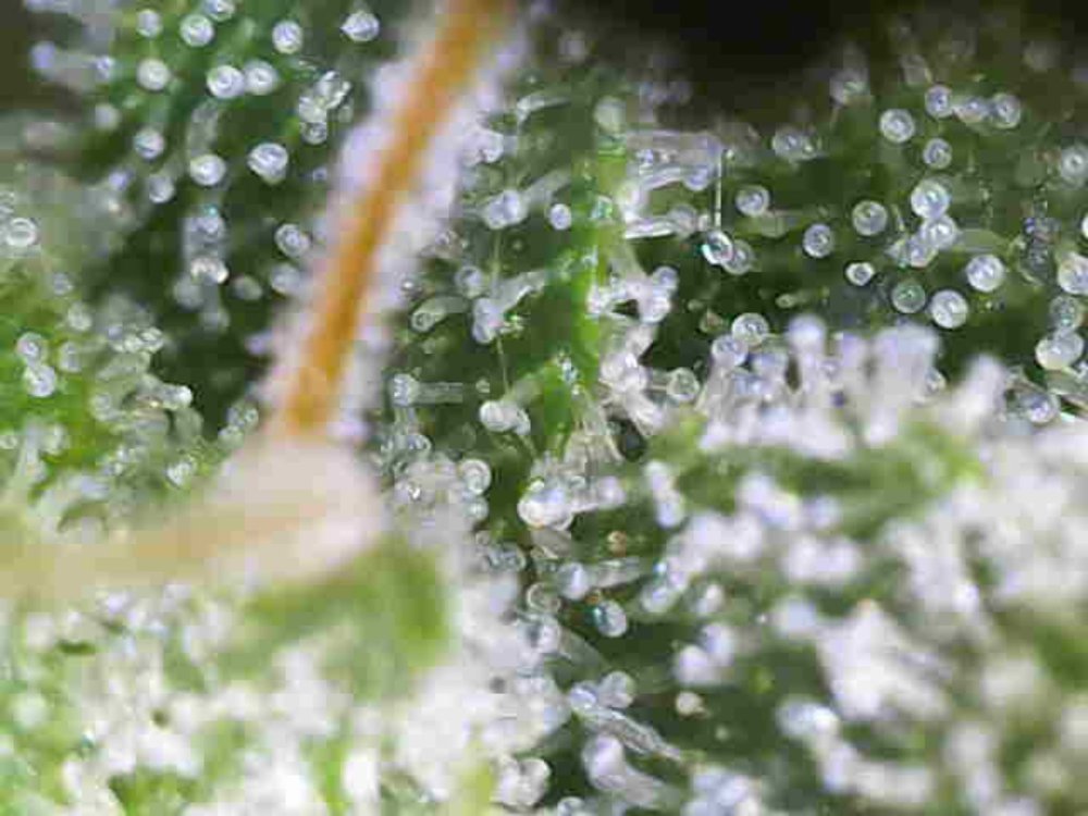 Photo_2025-11-22 10_52_09_725.JPG