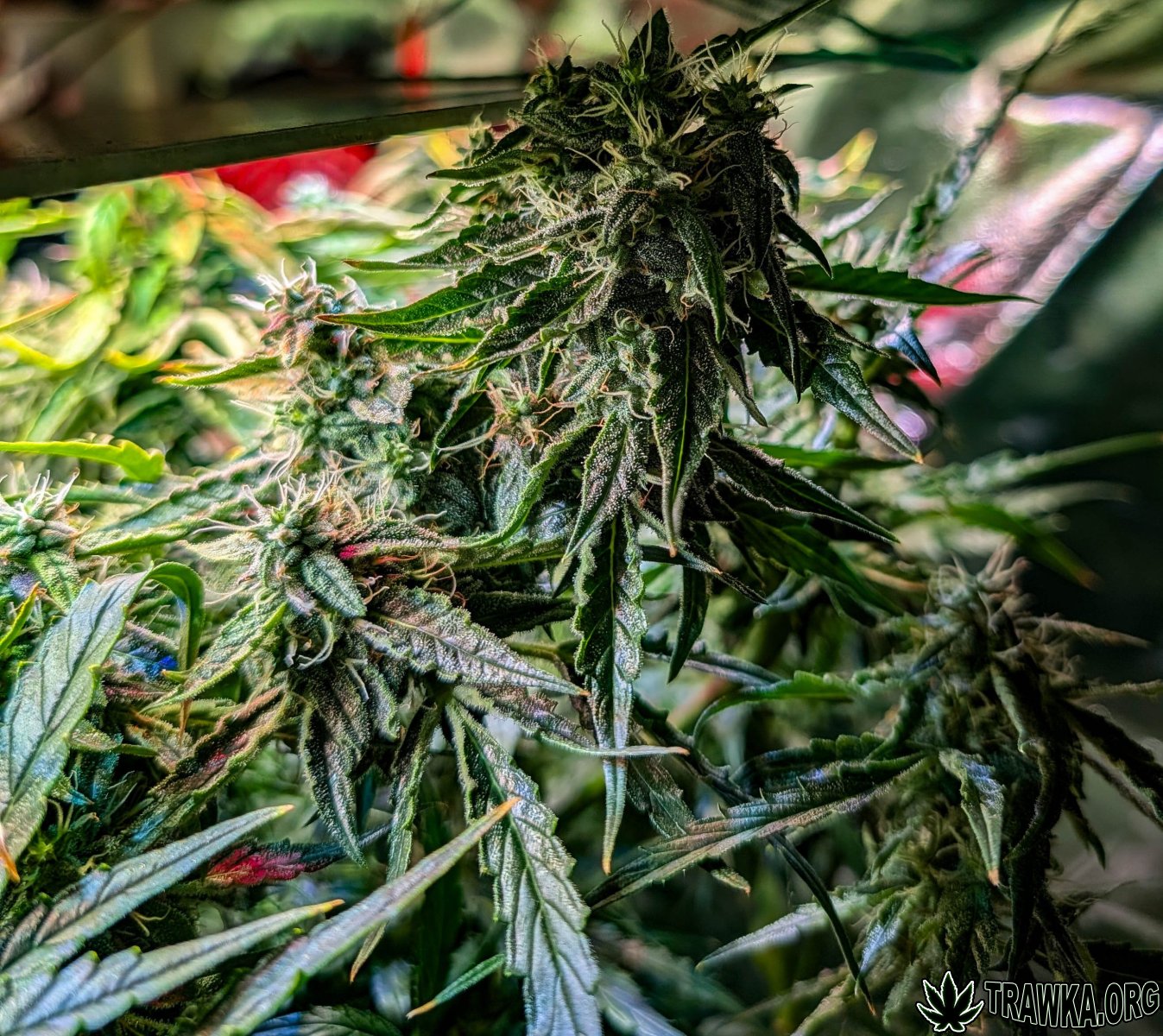 large.2025_11.14at211941-Ziele-19.jpg.ce