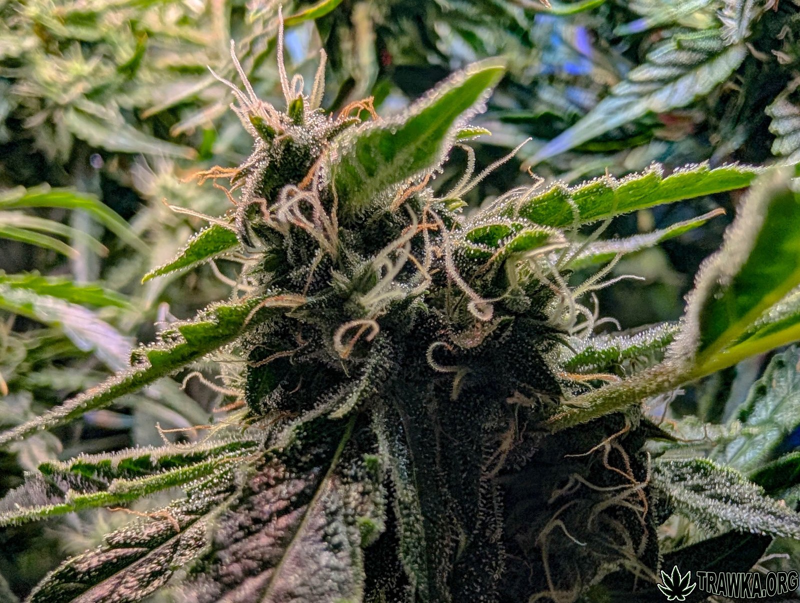 large.2025_11.14at212022-Ziele-24.jpg.5f