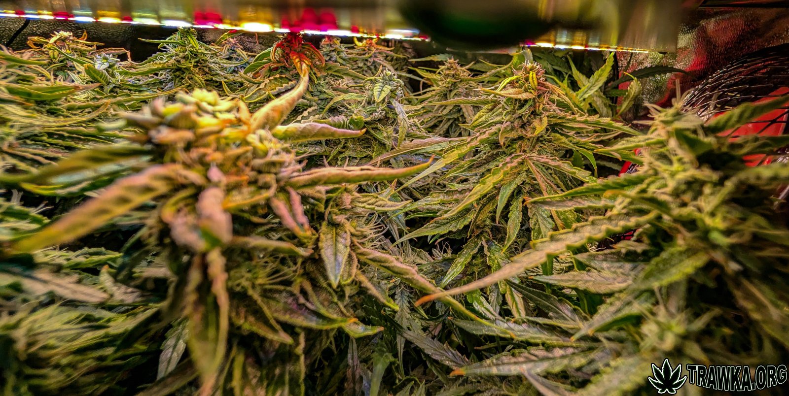 large.2025_11.15at201434-Ziele-47.jpg.6a