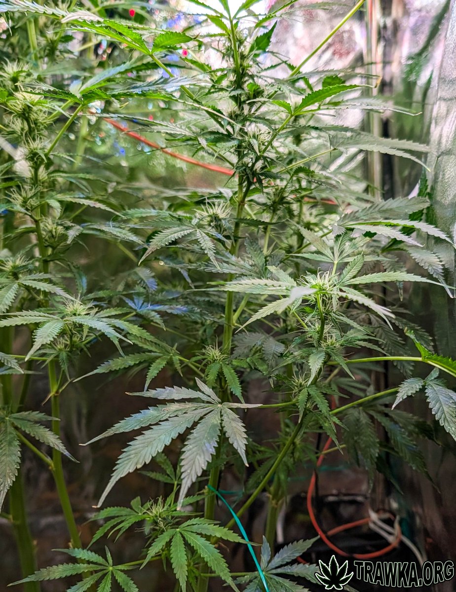 large.2025_11.15at213054-Ziele-78.jpg.92