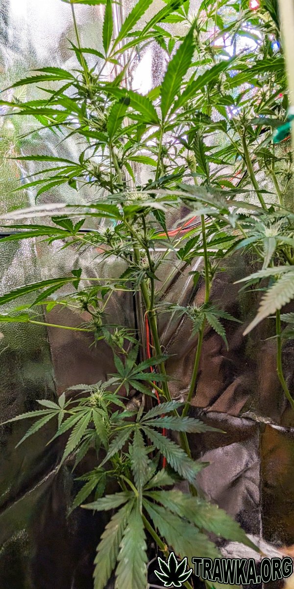 large.2025_11.15at213105-Ziele-79.jpg.ca