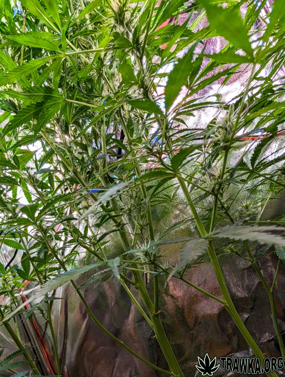 large.2025_11.15at213120-Ziele-81.jpg.11