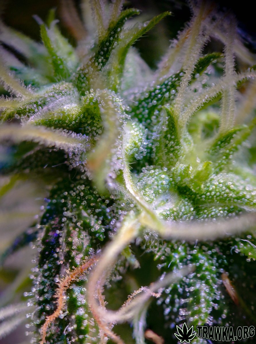 large.2025_11.16at034426-Ziele-86.jpg.e0