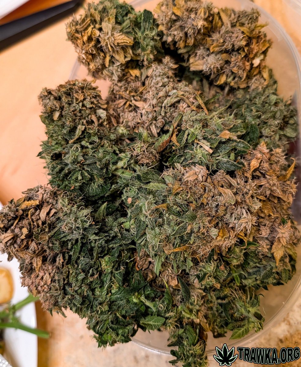 large.PXL_20251125_201932211.jpg.0fe4266