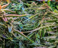 2025.11.14 at 21：19：49 - Ziele - 21.jpg