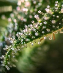 2025.11.15 at 20：23：16 - Ziele - 58