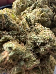 BAKER STREET od Spectrum Therapeutics