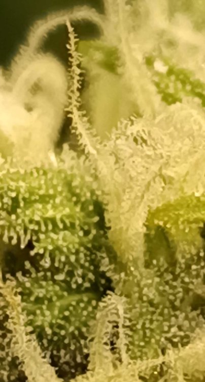 2025-12-20 11-17-23.jpg