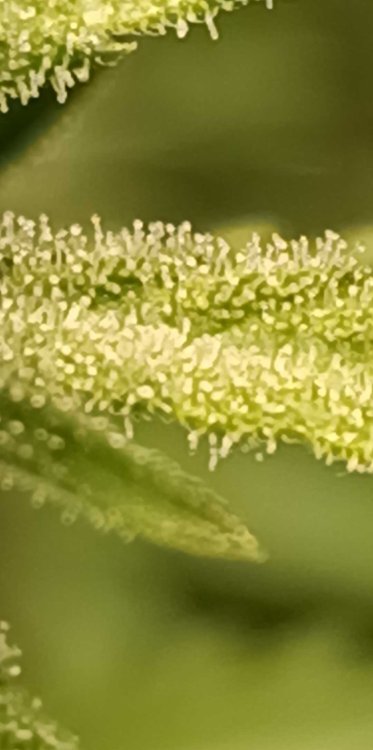 2025-12-20 11-19-37.jpg