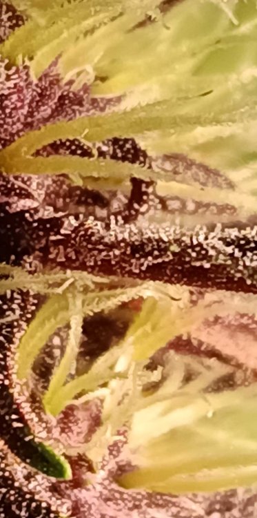 2025-12-20 11-21-42.jpg