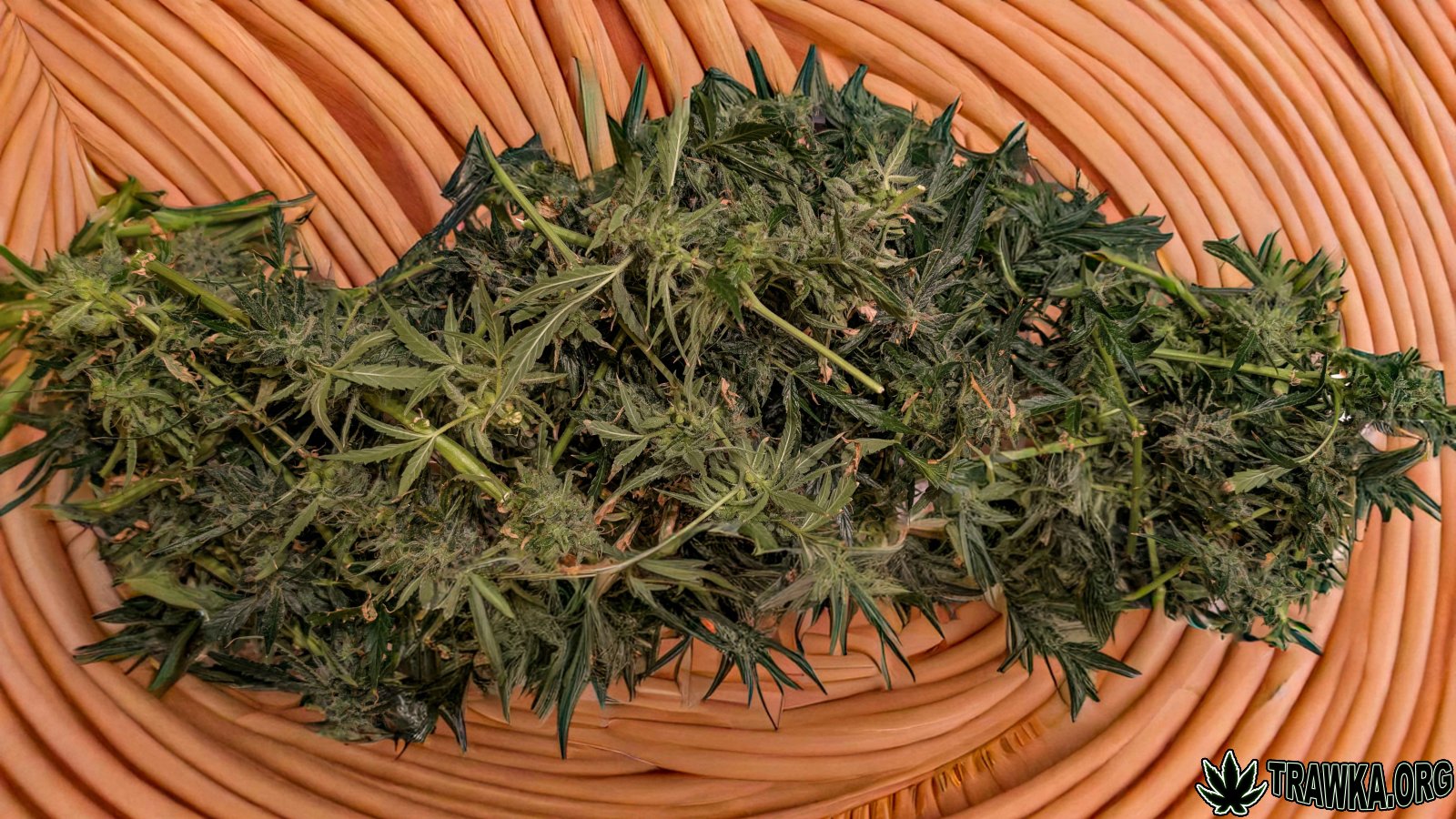 large.PXL_20251202_191911871.RAW-01.jpg.