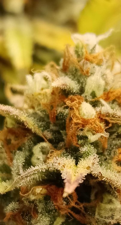 2026-1-5 14-24-3.jpg