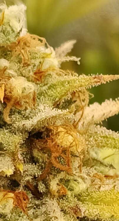 2026-1-5 14-24-50.jpg