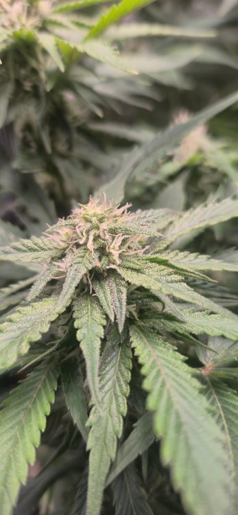 20260124_181816 (1).jpg