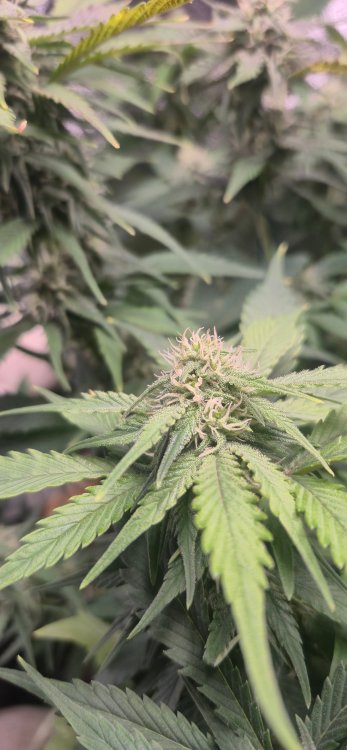 20260124_181819 (1).jpg