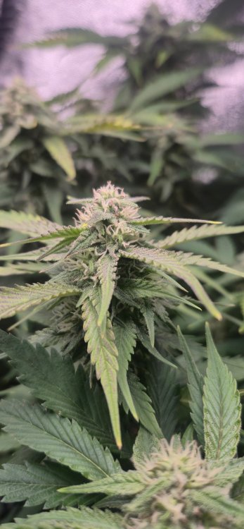 20260124_181828 (1).jpg