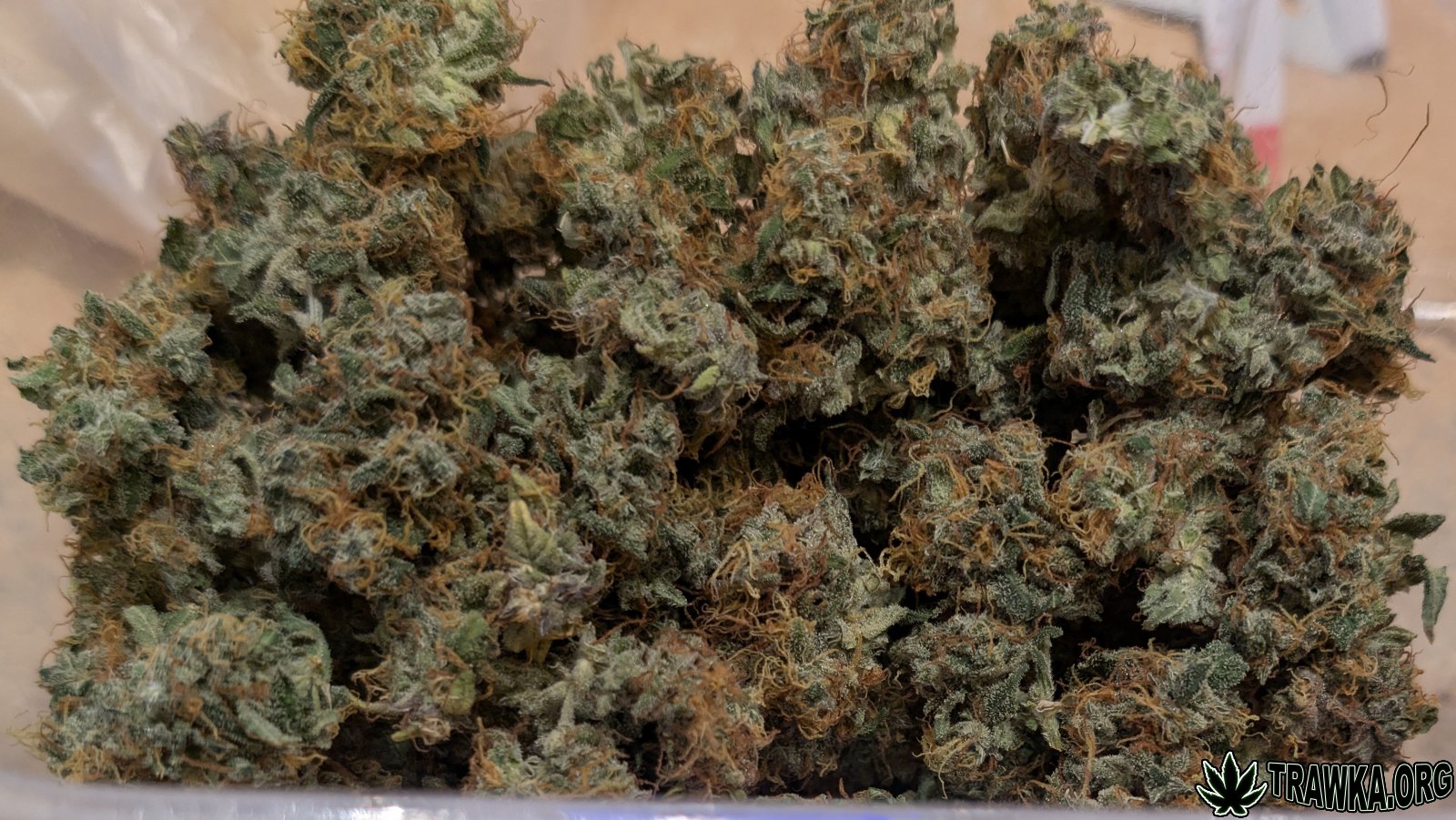 large.PXL_20260103_143329130.RAW-01.jpg.