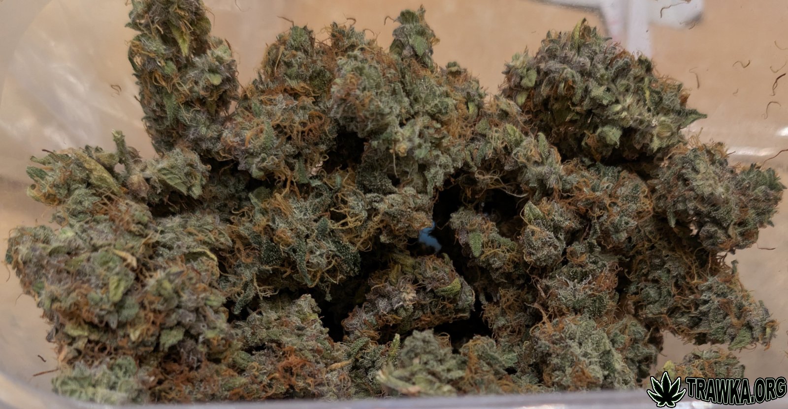 large.PXL_20260103_143436944.RAW-01.jpg.