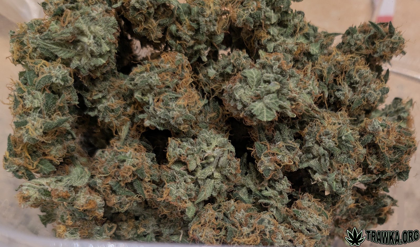 large.PXL_20260103_143508408.RAW-01.jpg.